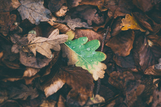 Annual National Depression Screening Day: What to Expect