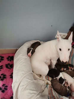 352155848_10059398487407245_8870220552567882991_n