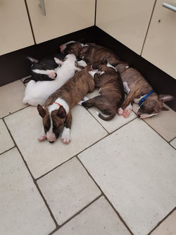 361860354_24026762083577650_705776089176655648_n