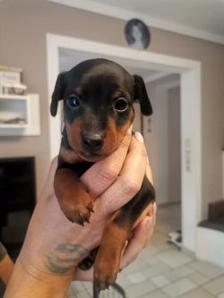 316172373_8911751715505267_7566535237330564630_n