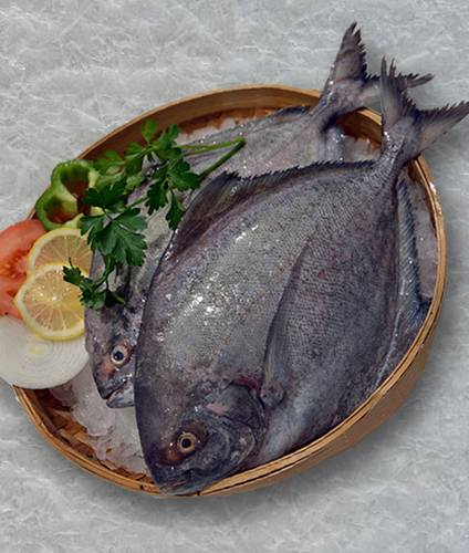 Black pomfret halwa