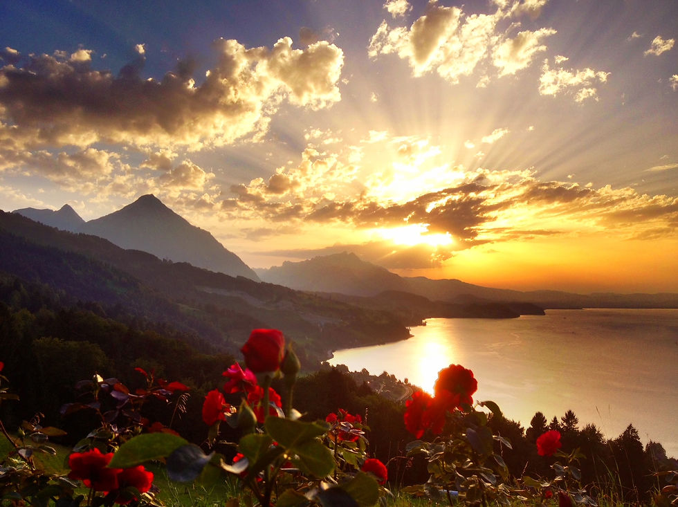 7 sonnige Ausflugsziele rund um den Thunersee