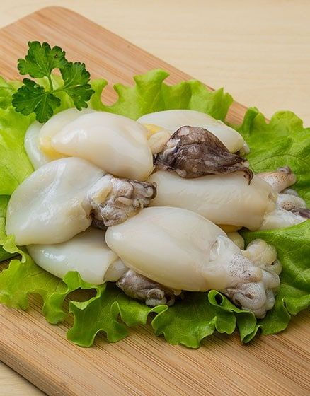 A whole fresh cuttlefish