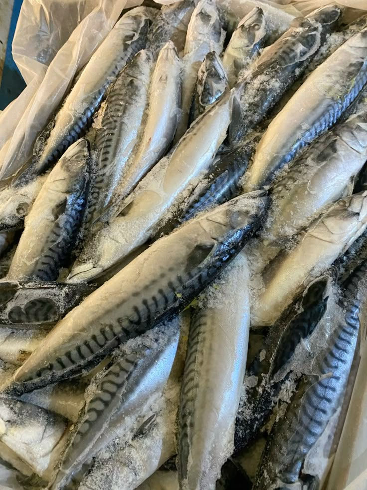 A fresh travely fish
