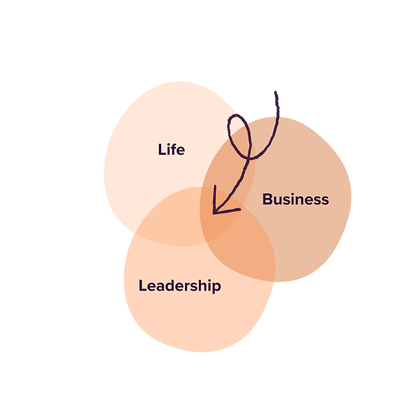 sustainable leadership matrix blank.png