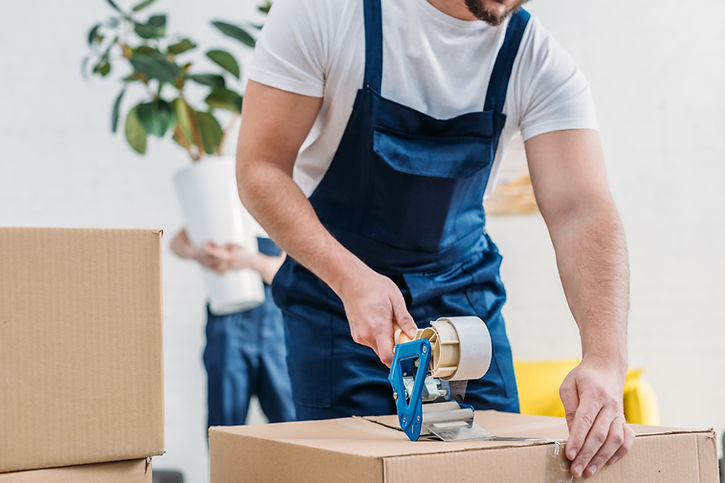 Packing and dismantling service