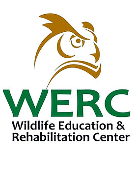 wildlife-education-and-rehabilitation-center-logo