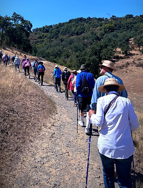 seniors-hike-for-health_.jpg