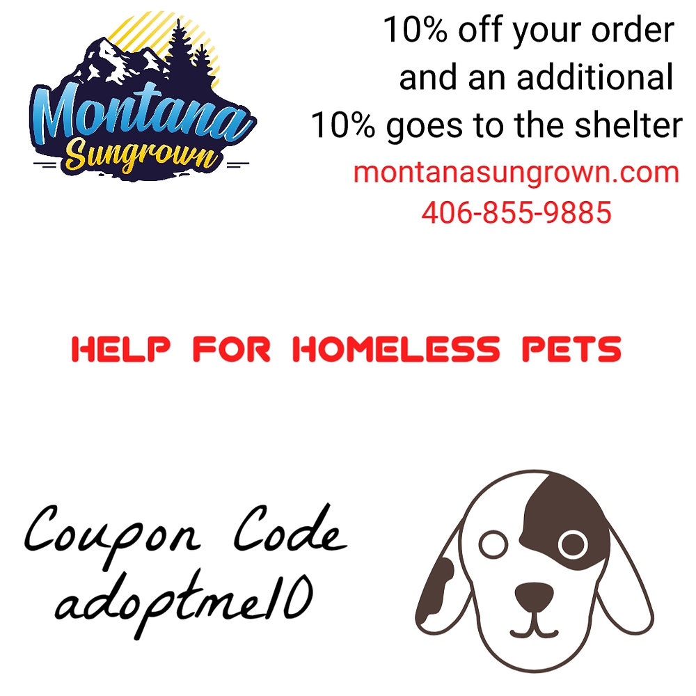Help For Homeless Pets