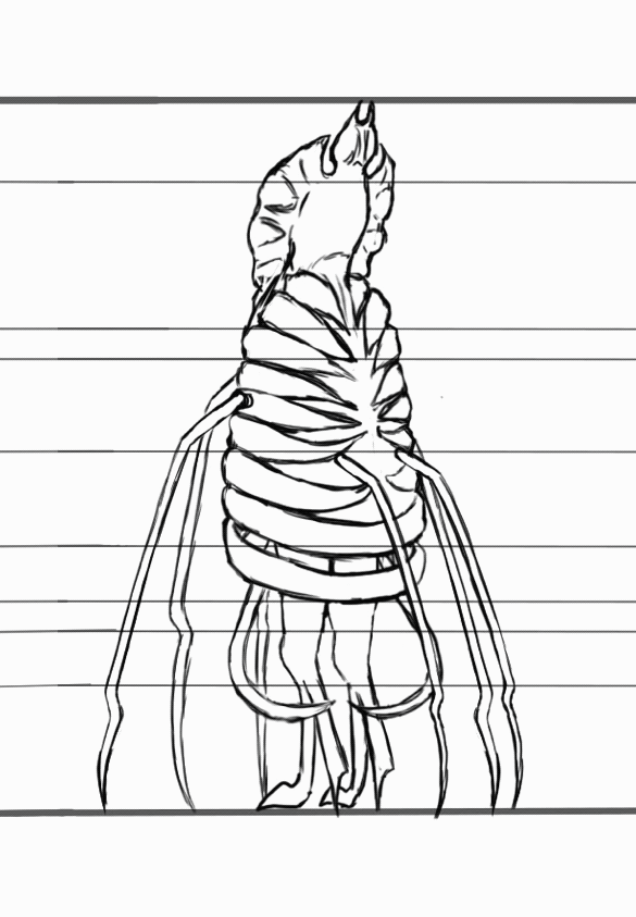 image0.gif
