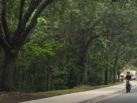 Riding the Line: Freedom, Risk, and Growing Up in Lake Nona