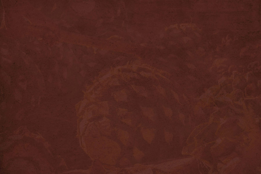 BG7.jpg