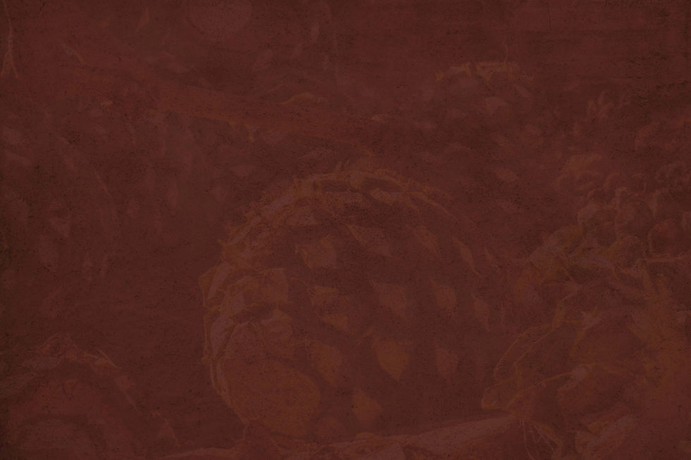 BG7.jpg