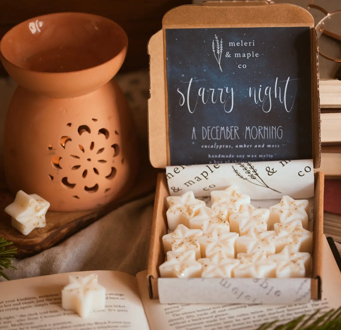 Large box Christmas wax melts