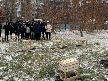 Домики для сосен