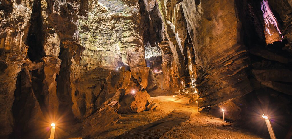 In die Wieg gelê: Suid-Afrika se evolusionêre erfenis