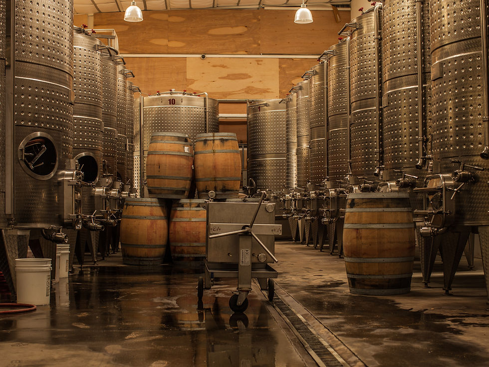 Thumbnail: 2023 Sauvignon Blanc - Corona del Valle