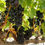 Thumbnail: 2022 Zopilote - Vinos Del Tigre