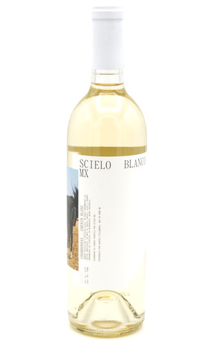 2024 Scielo Blanco - RGMX | Patrick Neri Selections