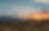 Thumbnail: 2023 Scielo Tinto - RGMX