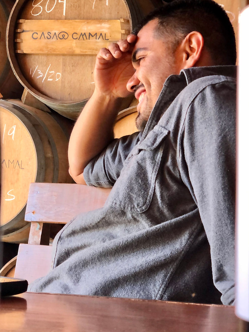 Thumbnail: 2022 .925 - Vinos Plata