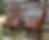 Thumbnail: Bent Willow Chair - Standard Size