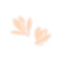 Tan flower