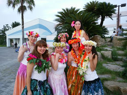 HULA PICNIC in 五色浜 2017