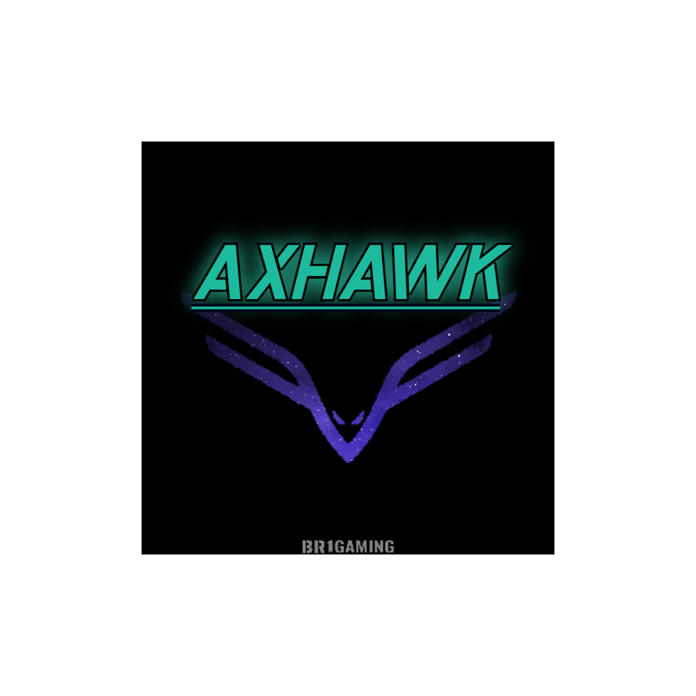 AXHAWK.webp