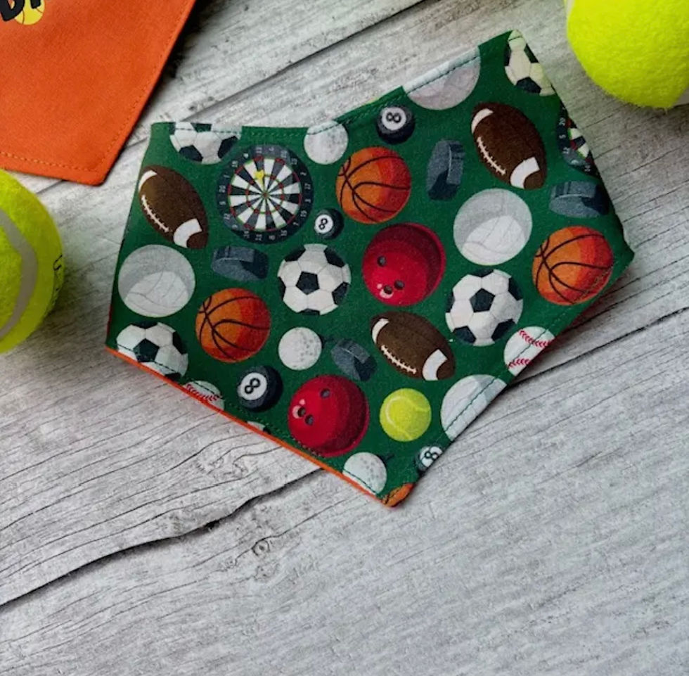 Thumbnail: Addicted To Balls Reversible bandana