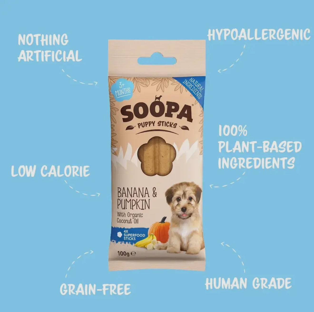 Puppy Banana & Pumpkin Dog Dental Sticks