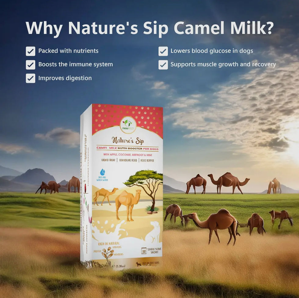 Thumbnail: Nature’s sip Camel Milk Nutri booster for dogs: Apple, Coconut, Beetroot & Mint