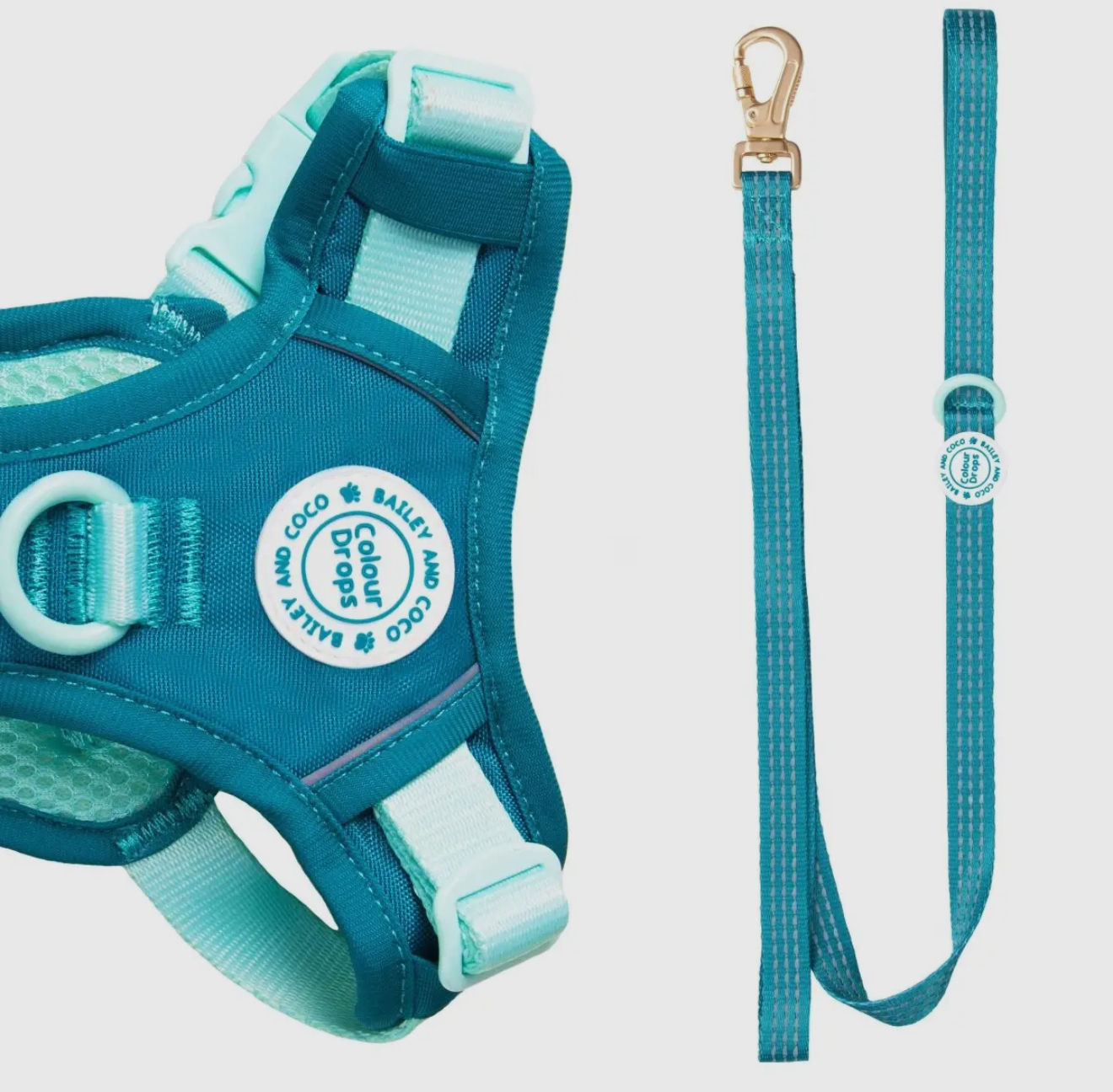 Dog Lead-Ice Teal