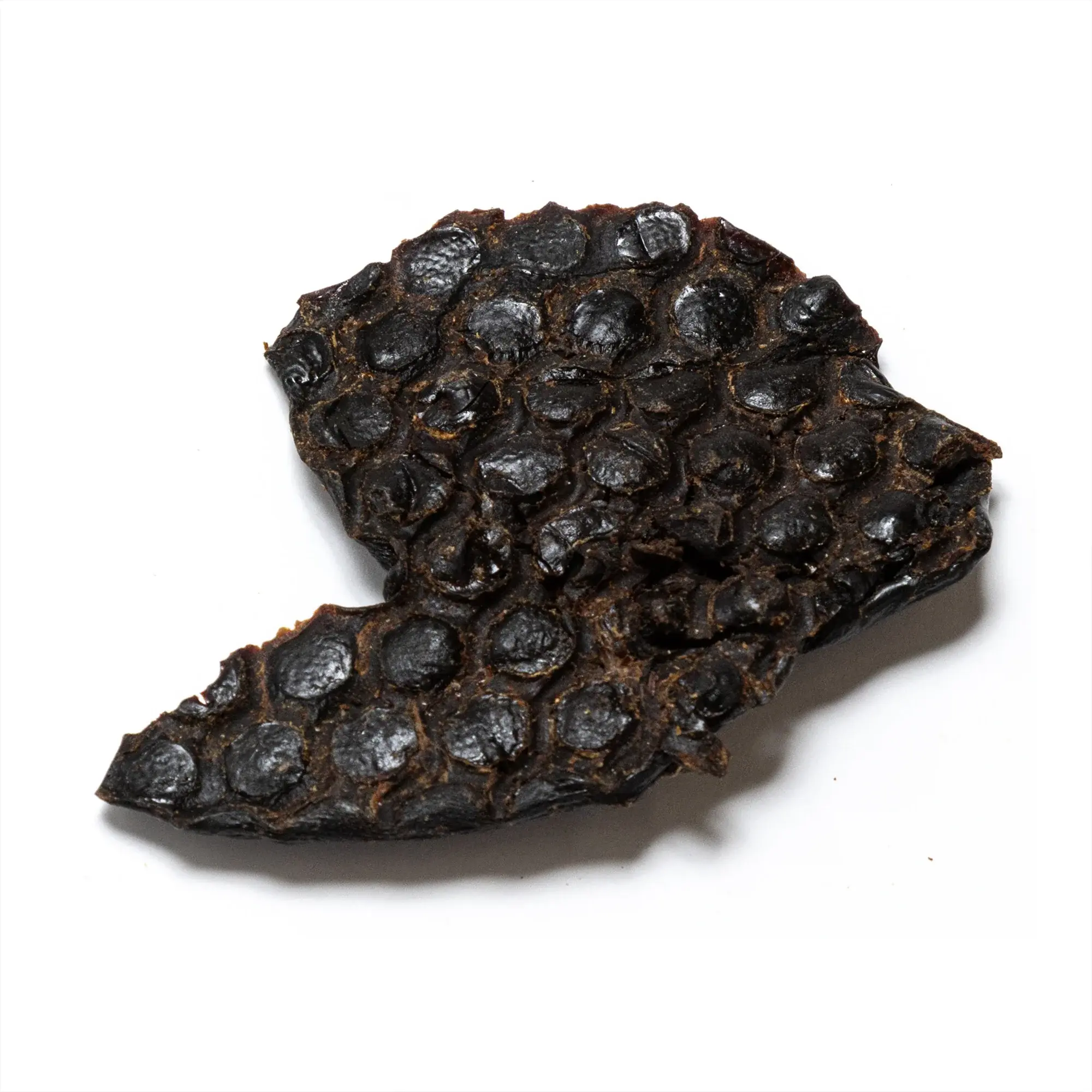 Natural Ostrich prime Stack 100g 