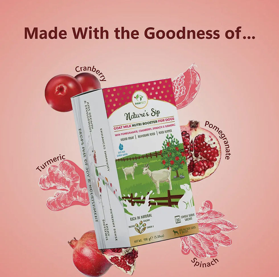 Thumbnail: Goat milk Nutri booster for dogs: pomegranate, cranberry, spinach & turmeric 5g