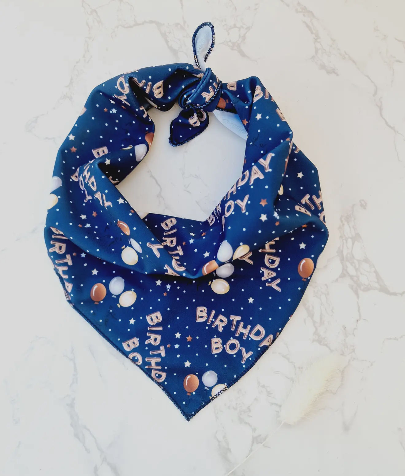 Birthday Boy Bandana