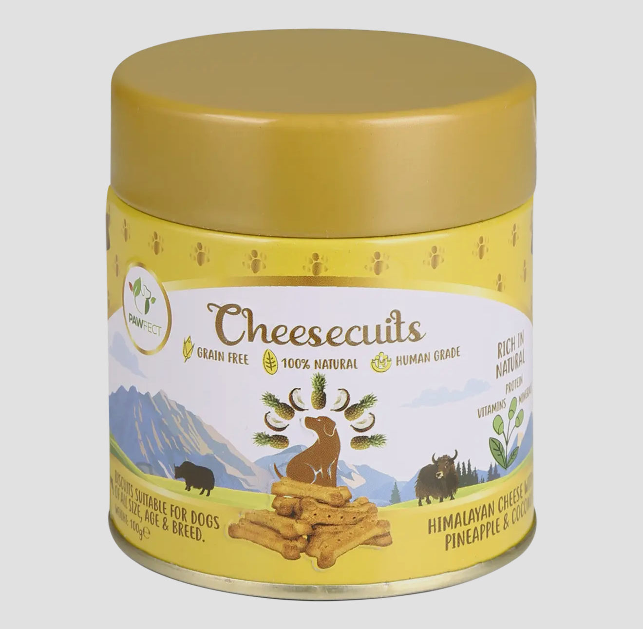 Cheesecuits Himalayan Cheese With Pineapple & Coconut