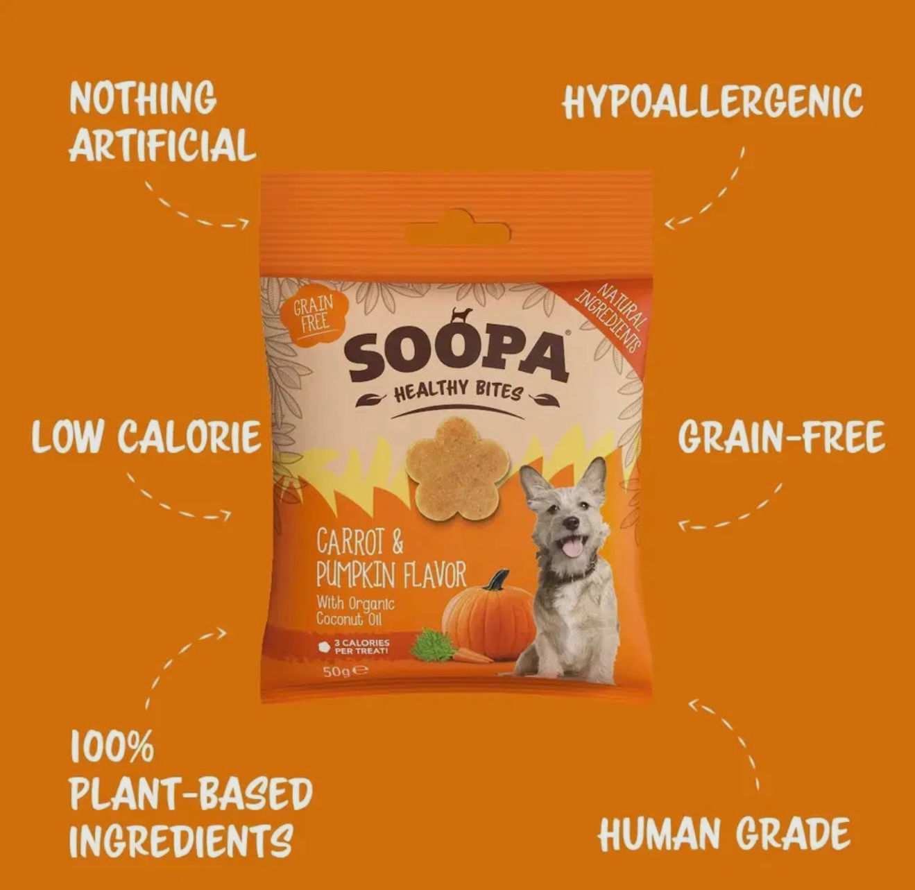 Carrot & Pumpkin Dog Treats/Healthy Bites