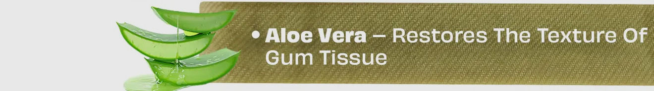 Medium Aloe Vera Himalayan Cheese Dental Chew