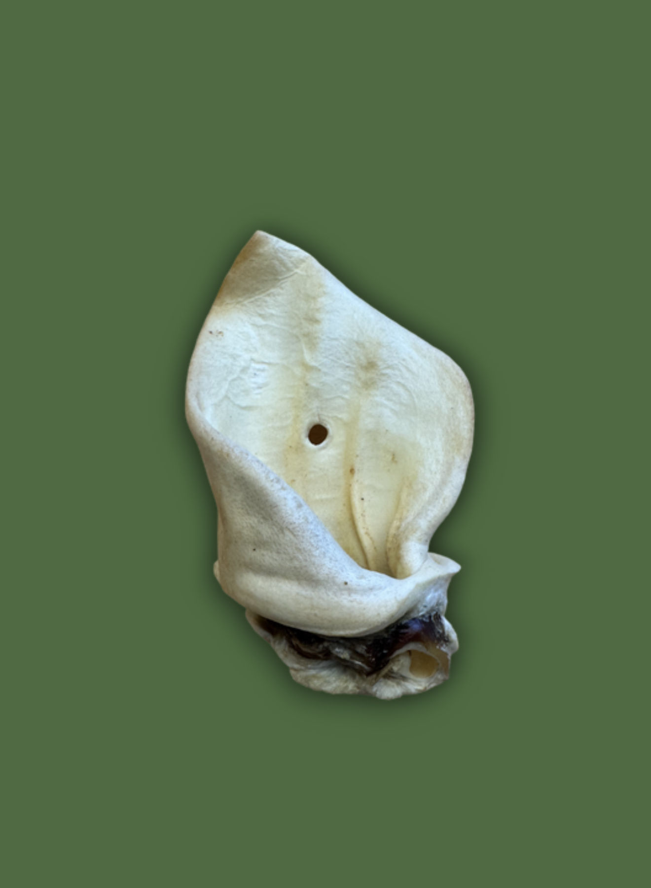 Naturals Meaty Cow Ears