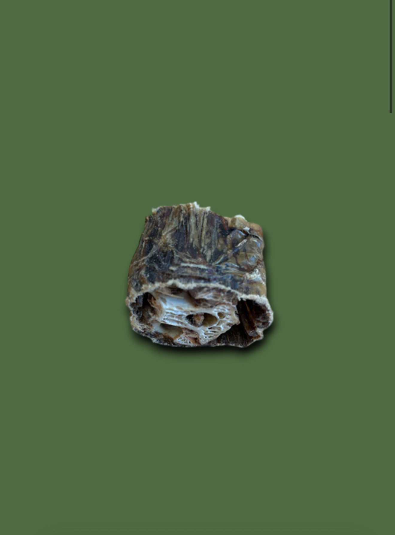 Naturals Ostrich Neck Chunks