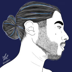 El perfil