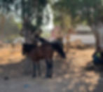 ec0e7828-976f-41c1-9623-4001bffab632