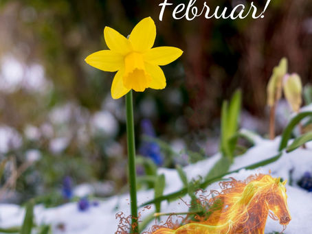 Willkommen Februar: ein Pferd bäumt sich auf!