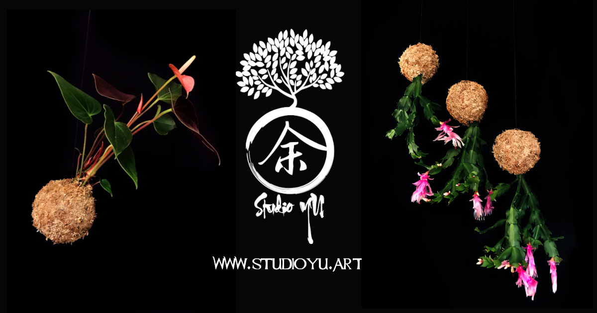 Pottery | Studio YU | Shop