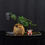 Thumbnail: Rabbit's Foot Fern