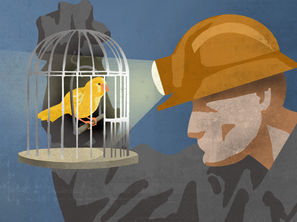 Palestine: Our Litmus Test