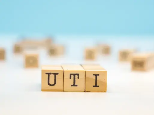 High ANA Levels and Recurrent UTIs: Could Gut Dysbiosis Be the Hidden Culprit?