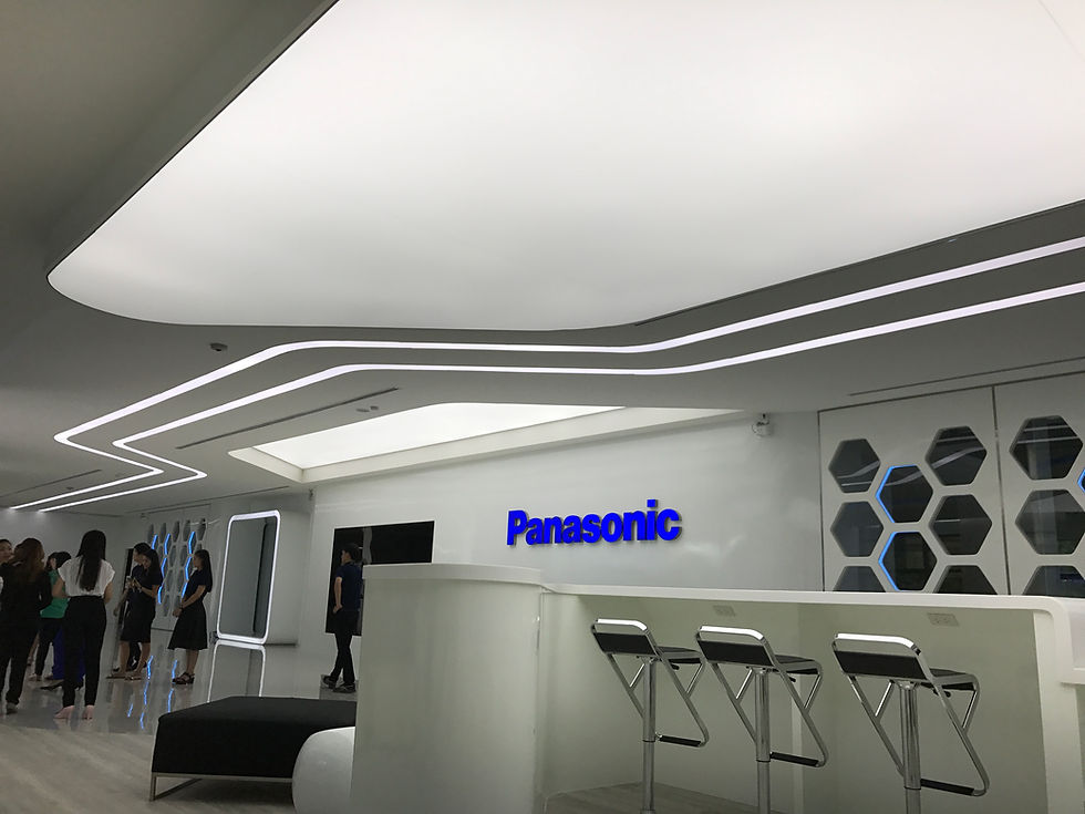 Stretch Ceiling