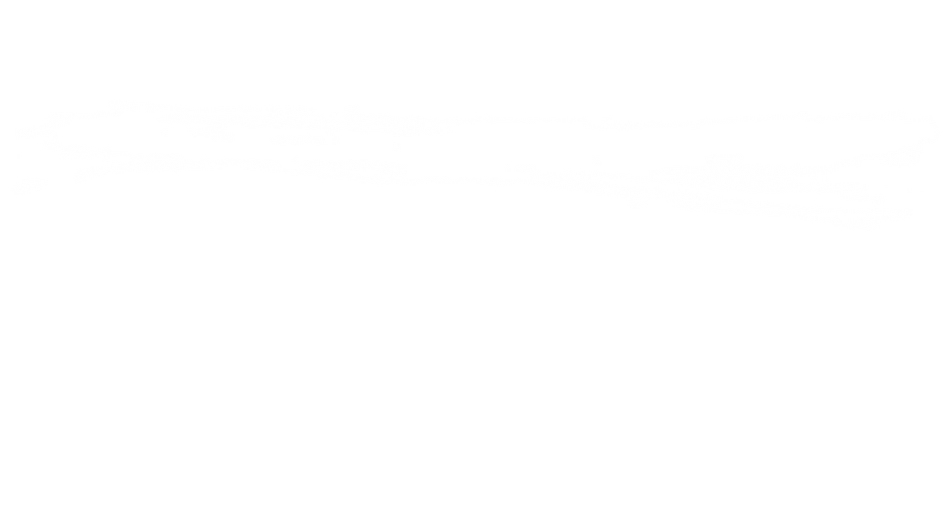 Pinselstrich weiß.png